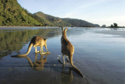 Australia National Anthem Biosimilar Australia