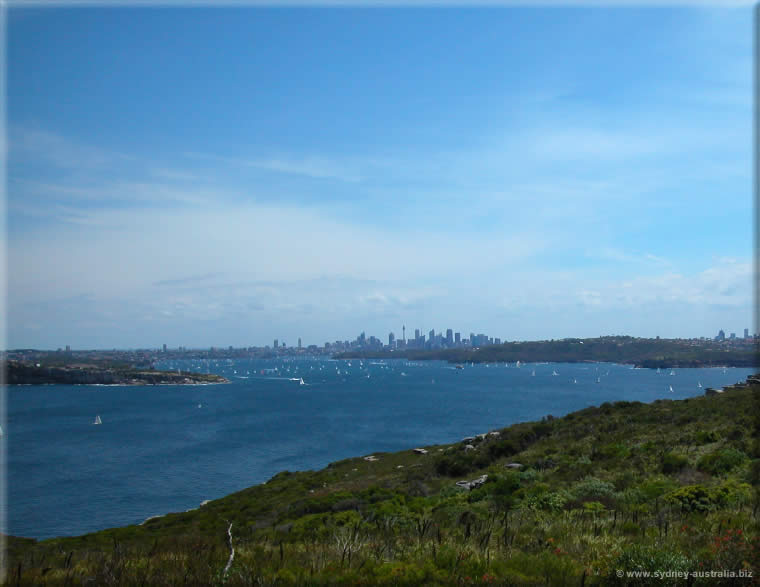 Sydney Harbour with the City Center (CBD) in the Background